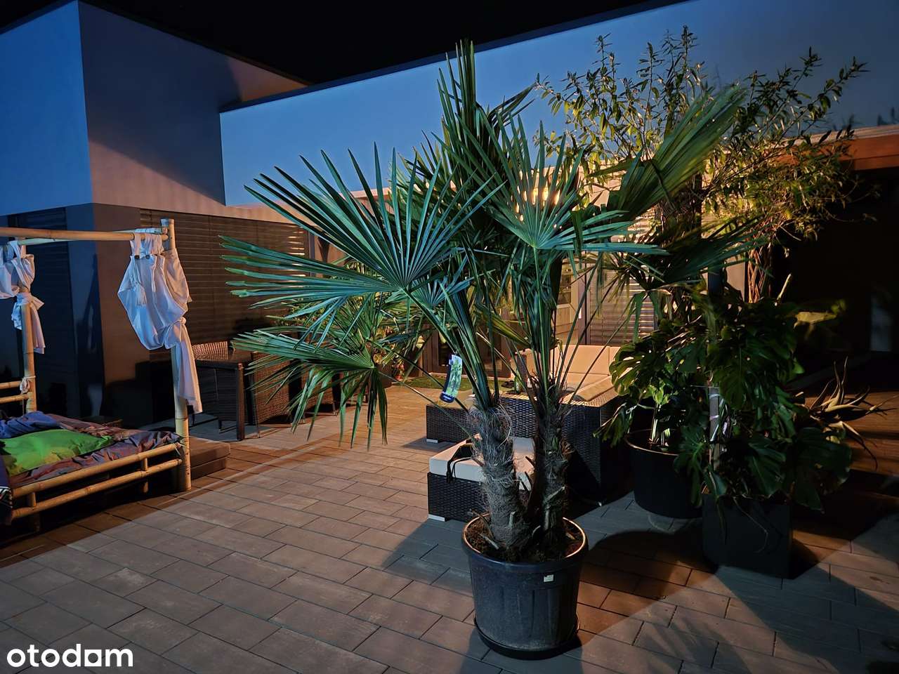 NOWOCZESNY KOMFORTOWY DOM PARTEROWY - Pełny obrazek: 3/11