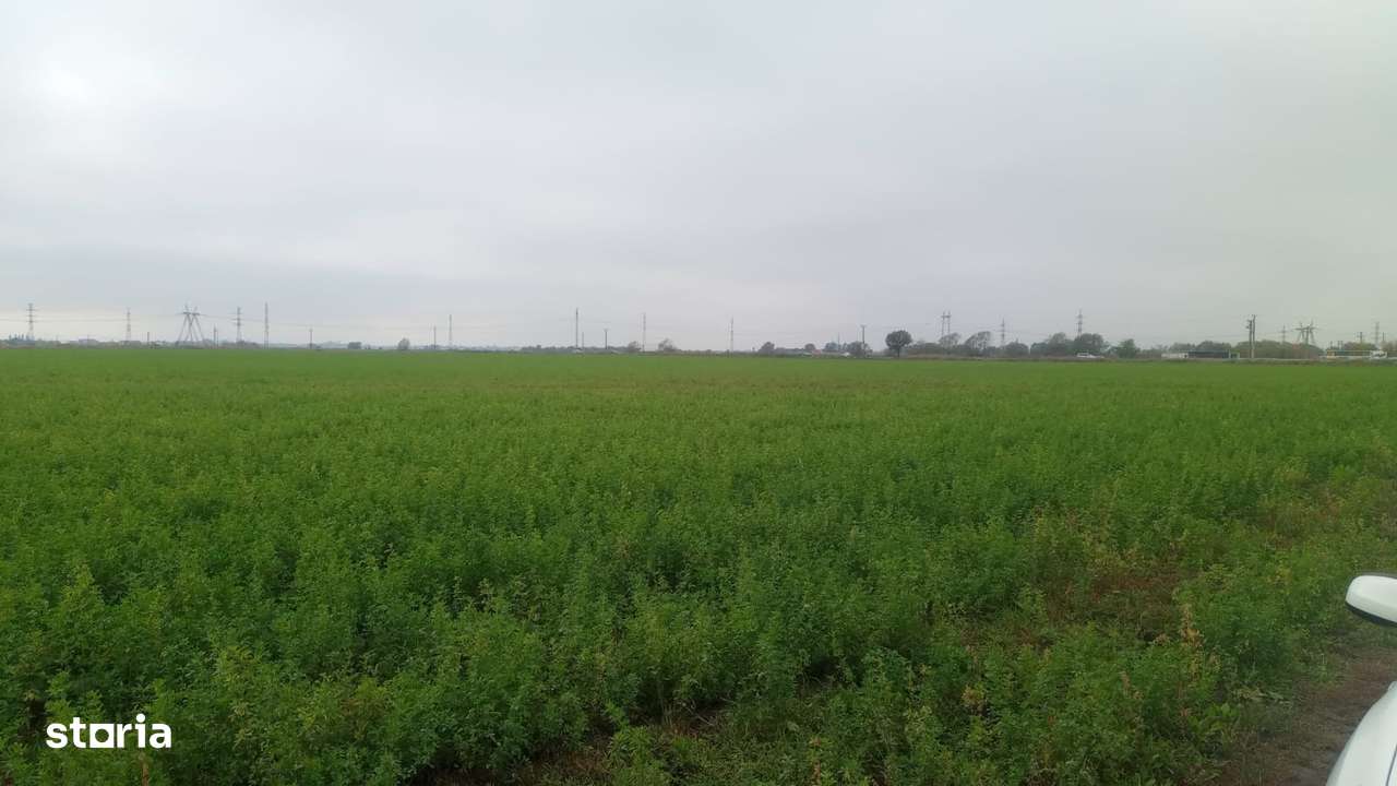 Teren intravilan 500mp in Brasov - Imagine principală: 4/6