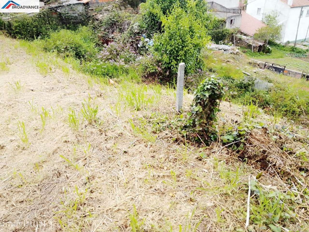 Terreno com Ruína a 25 minutos de Coimbra - Grande imagem: 2/7