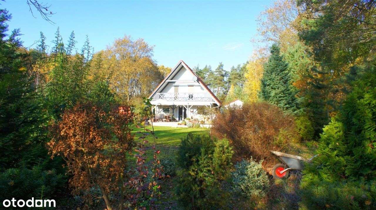 Piękny dom w lesie.., Dabcze-5