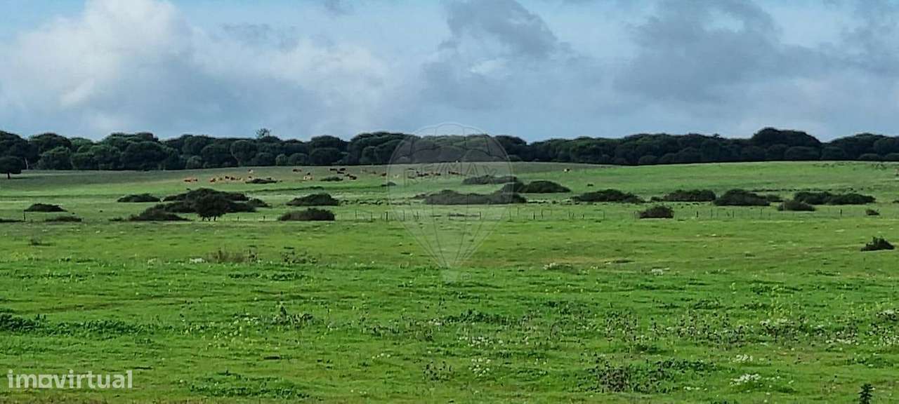 Terreno  para venda - Grande imagem: 4/12