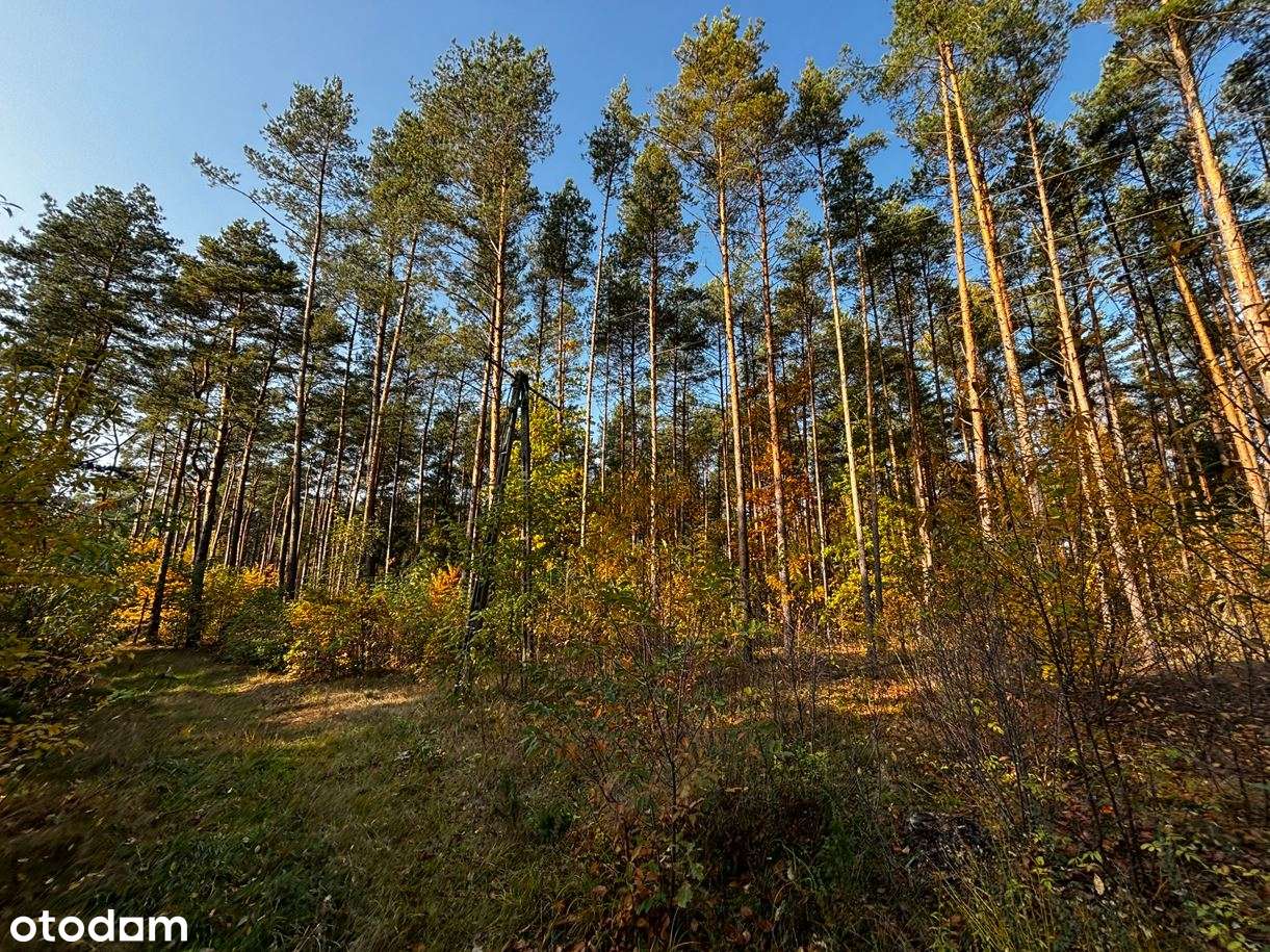 Działka rolno-leśna w centrum miejscowości Błędnica, 9,7142 ha-0