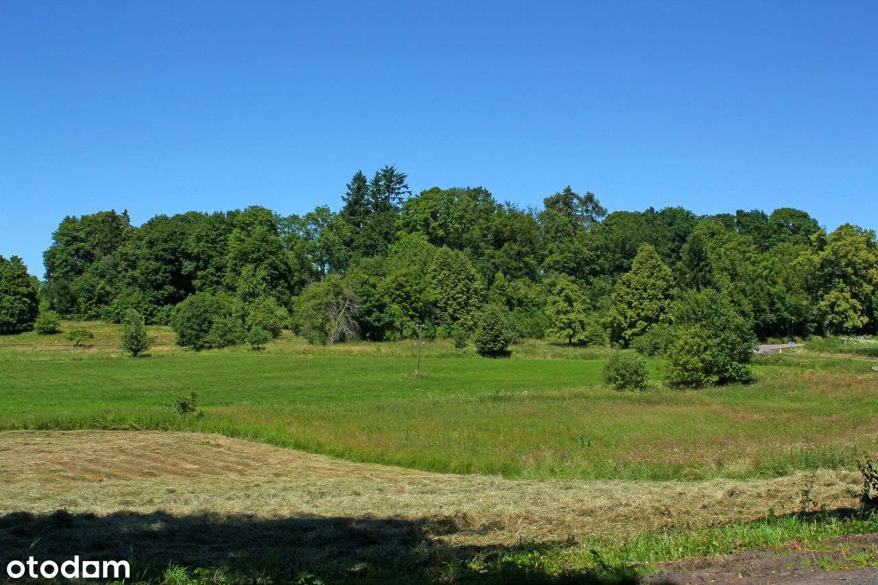 Świdwin . Działka 3100 m2 . Las . Jezioro . Morze.-5