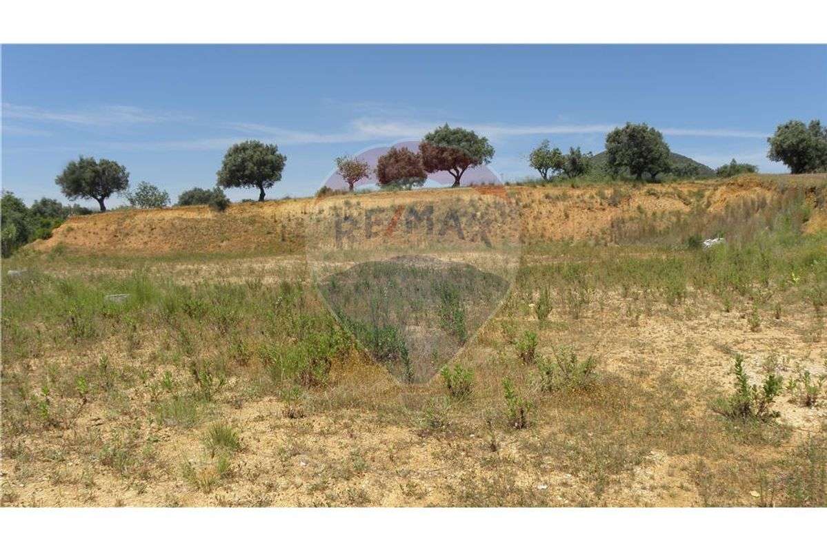 TERRENO PARA CONSTRUÇÃO DE ARMAZÉM INDUSTRIAL - Grande imagem: 5/12