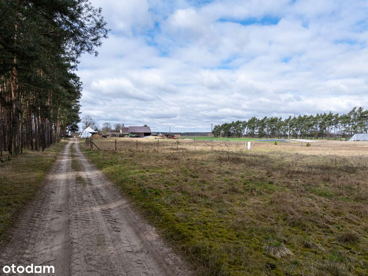 Las za oknem, śpiew ptaków w gratisie, oaza spokoju/Murzynowo Leśne-4