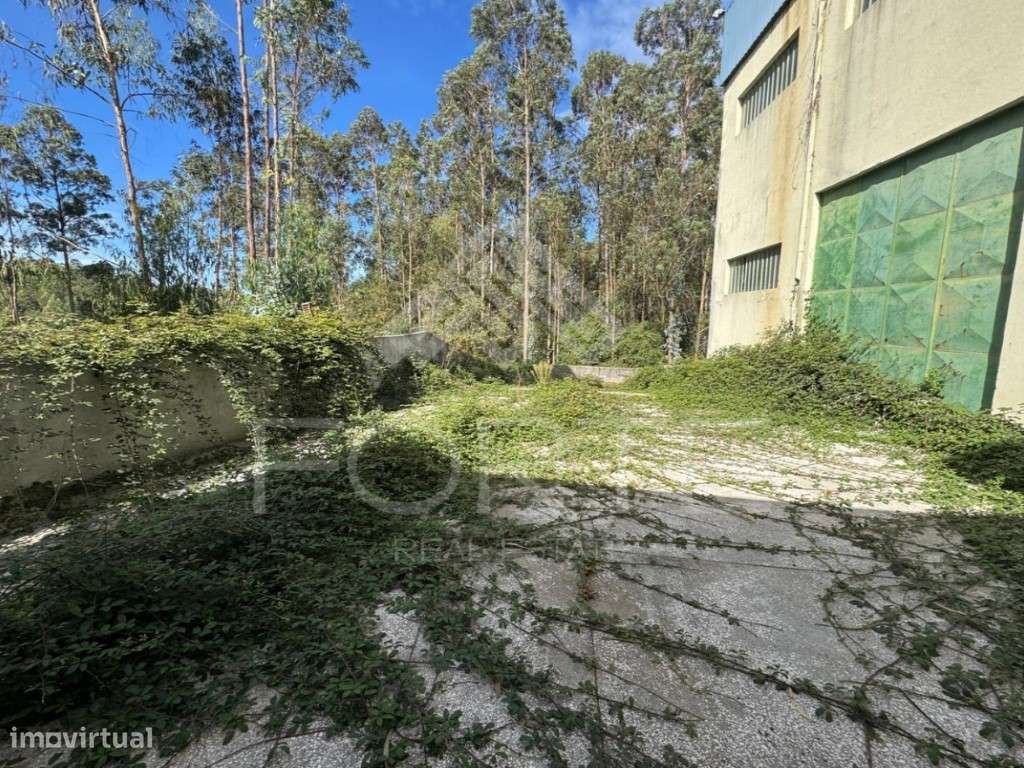 Armazém em São Martinho da Gândara-13