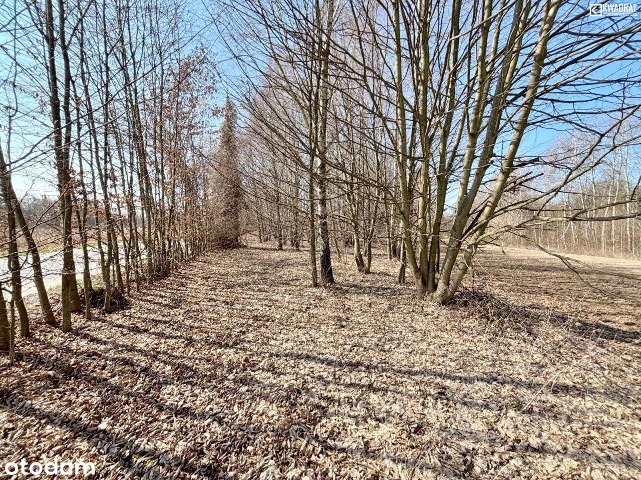 Działka budowlana - 35a - Góry II - Kazimierz Doln - Pełny obrazek: 4/6