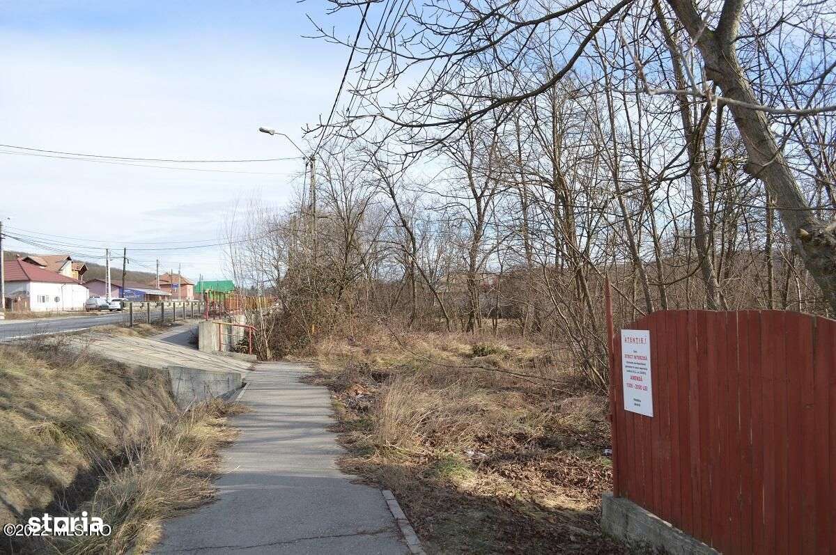 Valea Ursului - DN 7, Teren Stradal 2744 mp - Imagine principală: 3/14