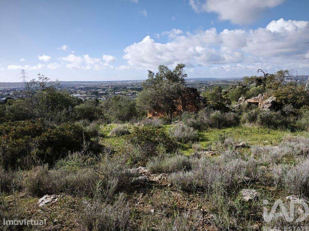 Terreno para construção em Algoz e Tunes - Grande imagem: 4/8