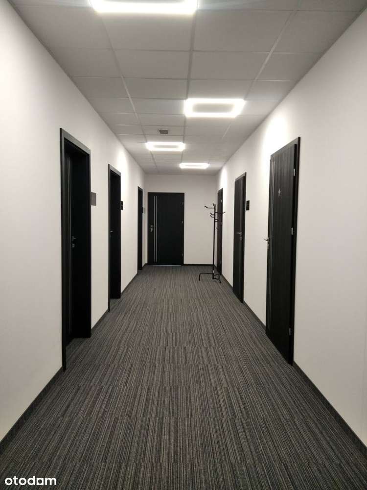 Do wynajęcia lokale biurowe 14,50m² - 19,40m²   – ul. Hallera 6-8 - Pełny obrazek: 3/6