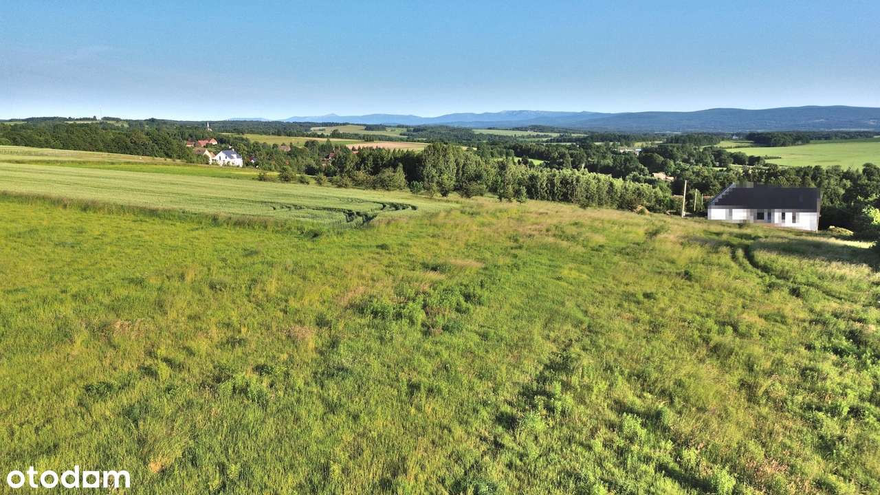 Działka budowlana w Krzewie Wielkim-1