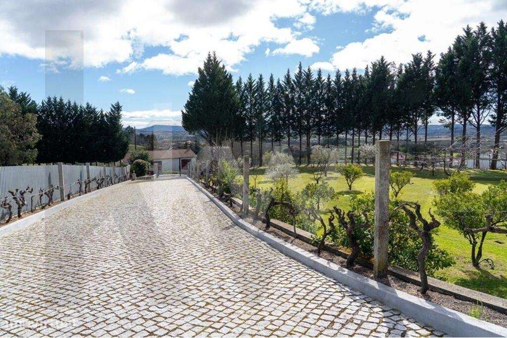Fantástica Quinta com casa encantadora em Belmonte-14