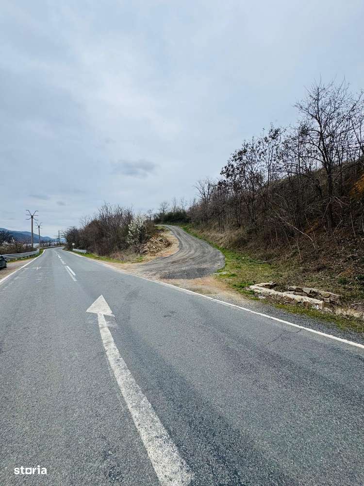 AV644 Teren intravilan, BERZASCA-DUNARE, 6042mp - Imagine principală: 5/9