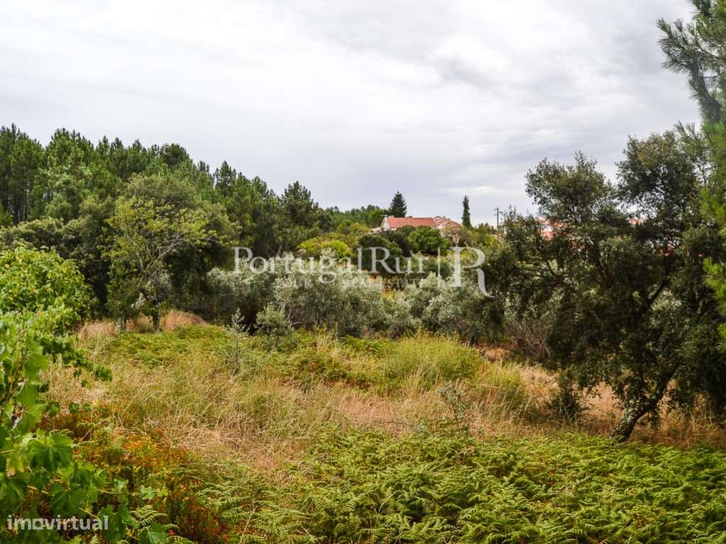 Terreno para Construção em Proença-a-Nova - Grande imagem: 4/17