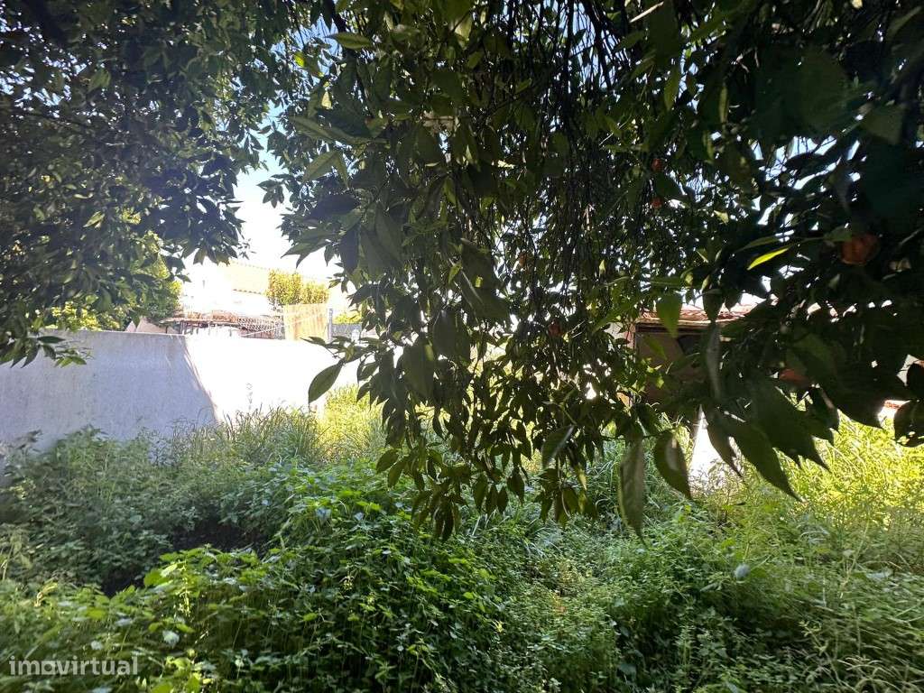 Moradia tipologia T2-14