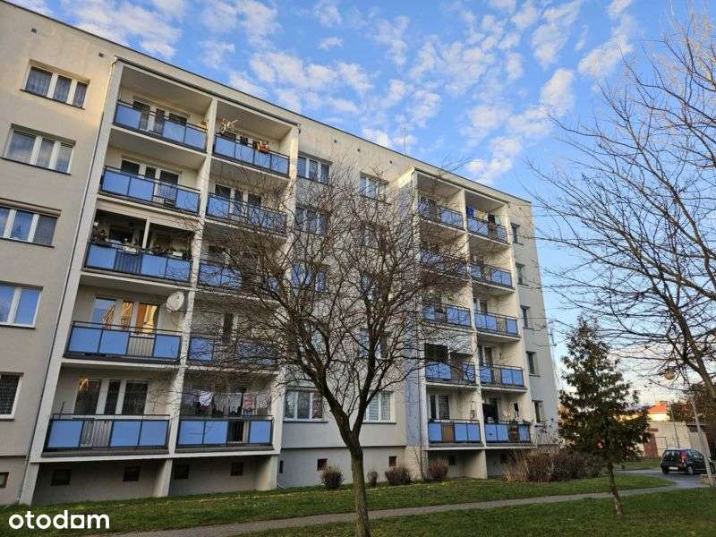 Mieszkanie 3-pokojowe, pow. 63,8 m2, Grodzisk Wlkp. - Pełny obrazek: 2/13