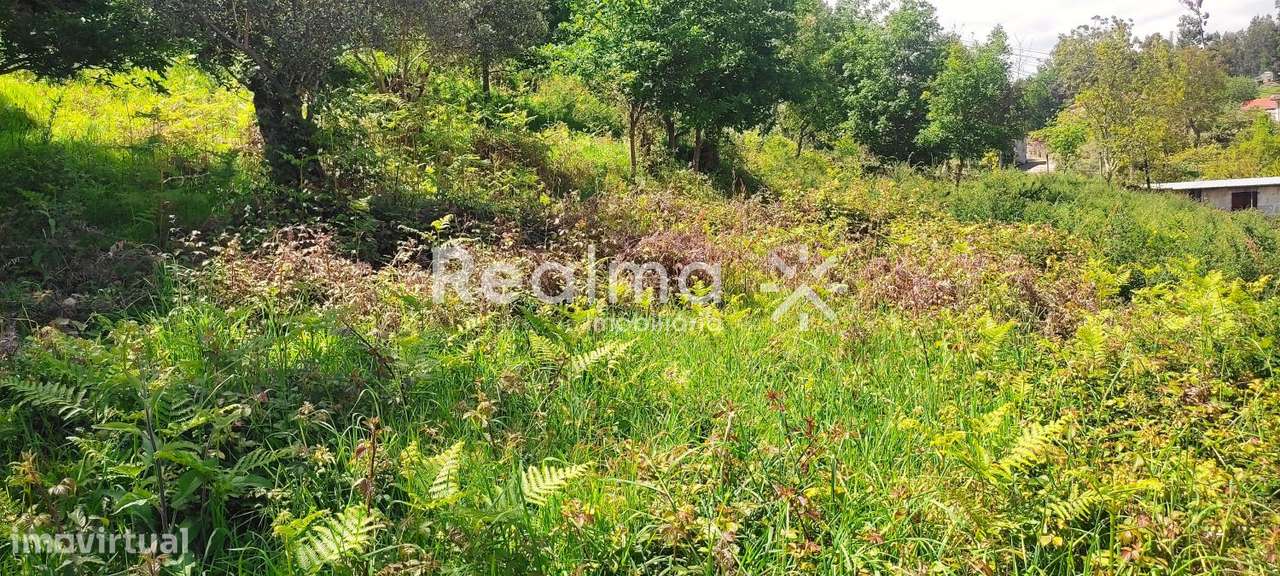 Terreno c/ Viabilidade Construtiva em Ruivães - Vieira do Minho - Grande imagem: 5/19