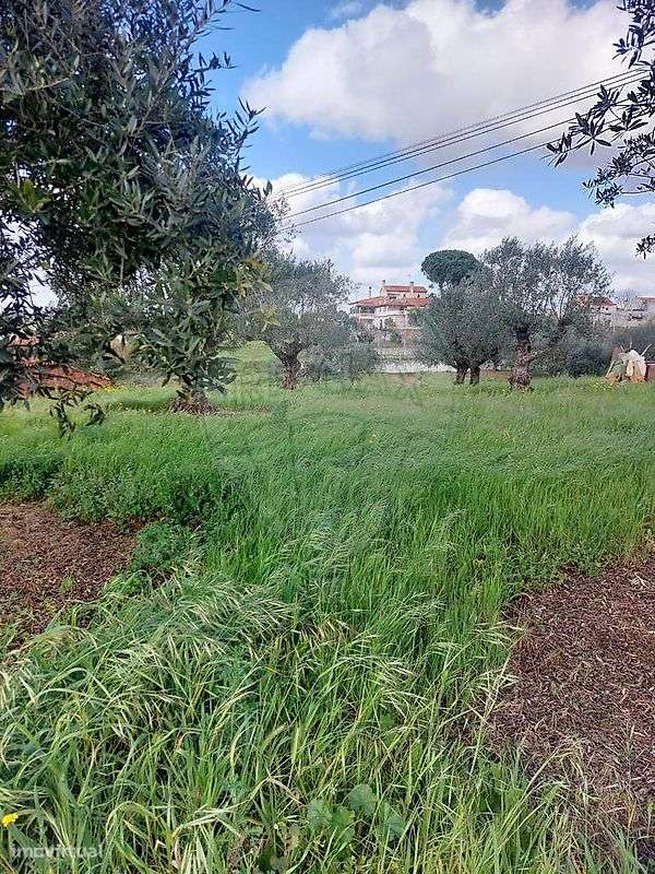 Terreno  para venda - Grande imagem: 5/5