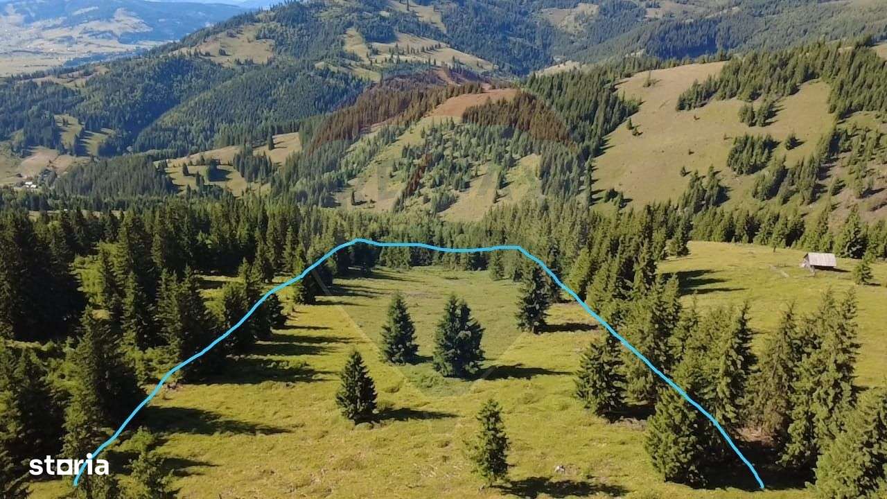 Teren 24,581mp Panaci / Strada Mihăileț - Imagine principală: 2/11