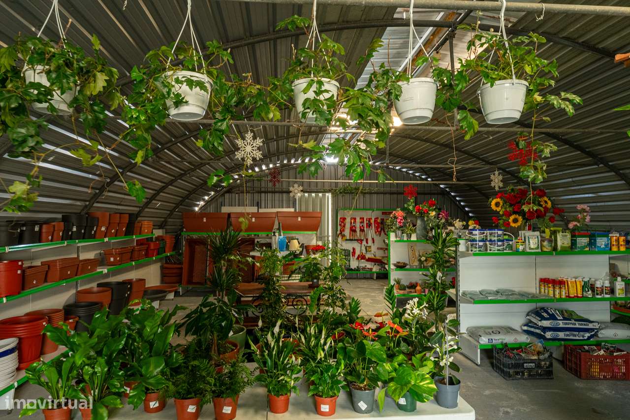 Trespasse de Centro de Jardinagem – Negócio Completo e Equipado - Beja - Grande imagem: 3/27