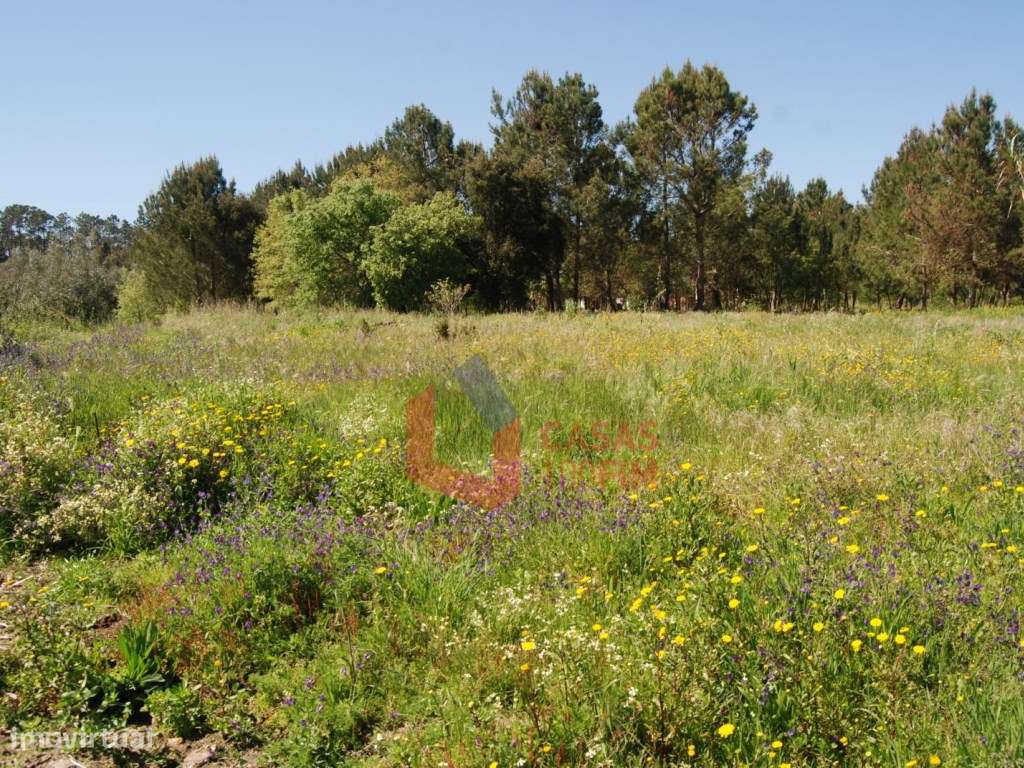 Terreno agrícola com 2350m2, Calvaria de Baixo, Batalha - Grande imagem: 4/4