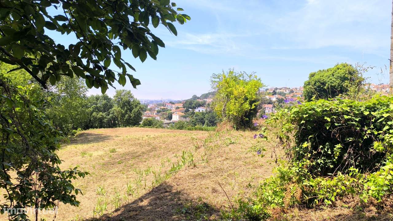 Quinta com 19000 m2 nas margens do Douro-13
