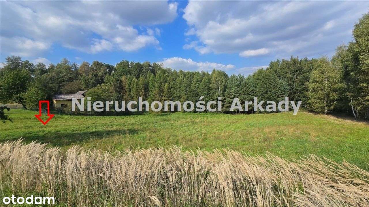 Piękna działka pod lasem-9