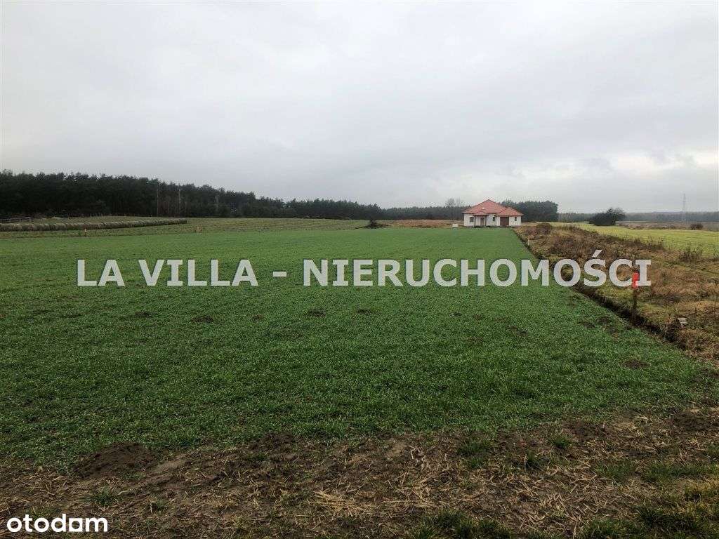 Działka, 900 m², Wojnowice - Pełny obrazek: 2/3