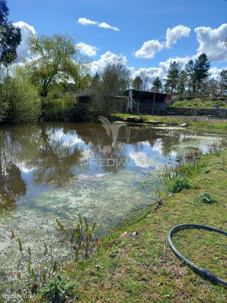 Quinta à venda com 6 Hectares – Mêda - Grande imagem: 5/13