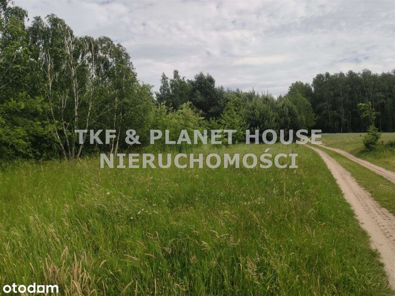 Na sprzedaż działka w Brzustowcu gm. Drzewica - Pełny obrazek: 4/6