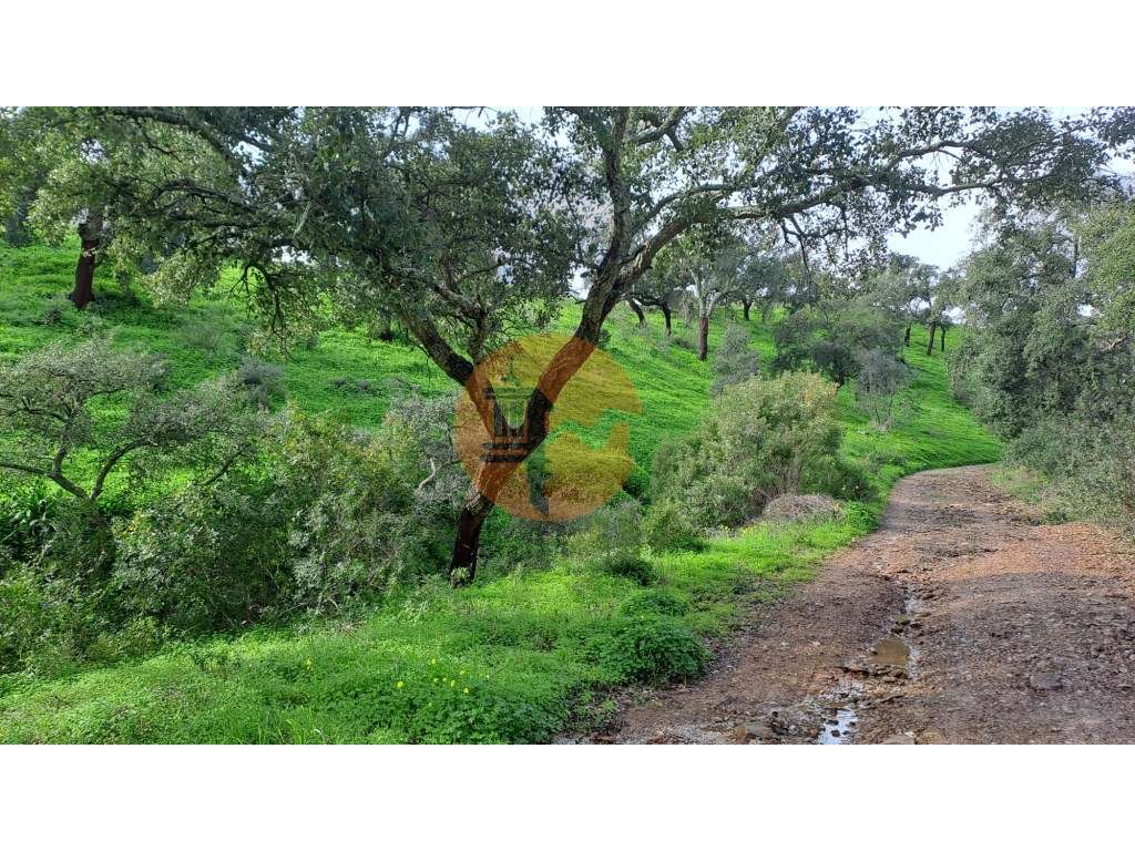 Terreno com 19990 m2 com área total de construção de 1587.62m2 - Grande imagem: 5/17