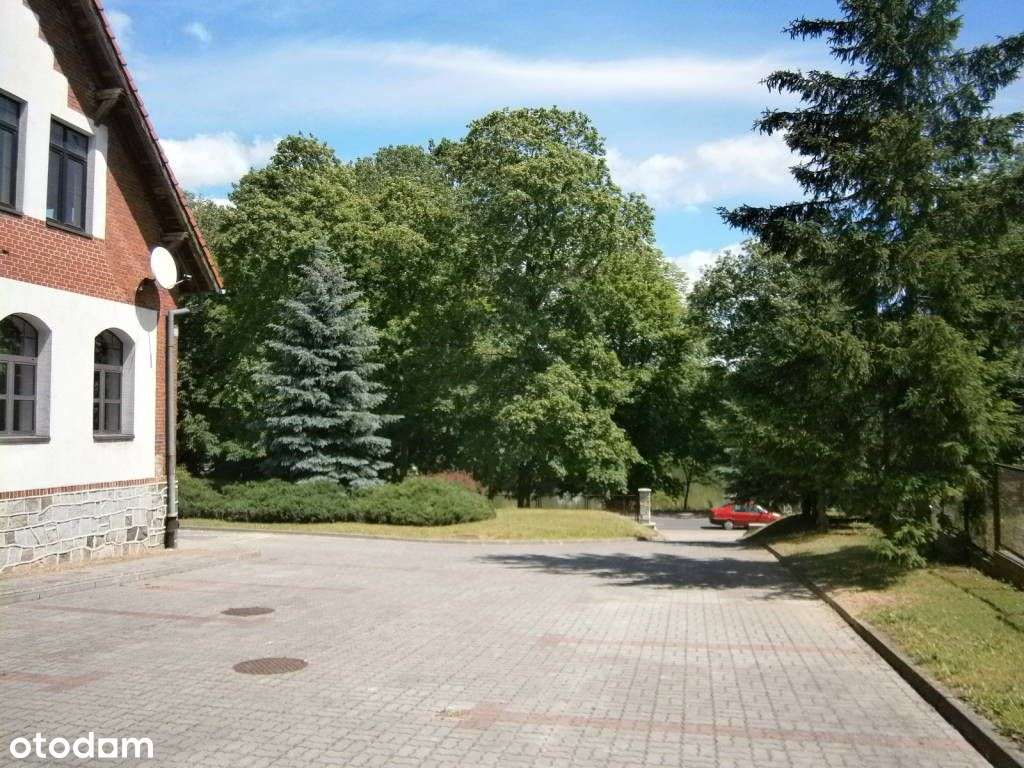 Lokal użytkowy, 1 102 m², Mogilno-4