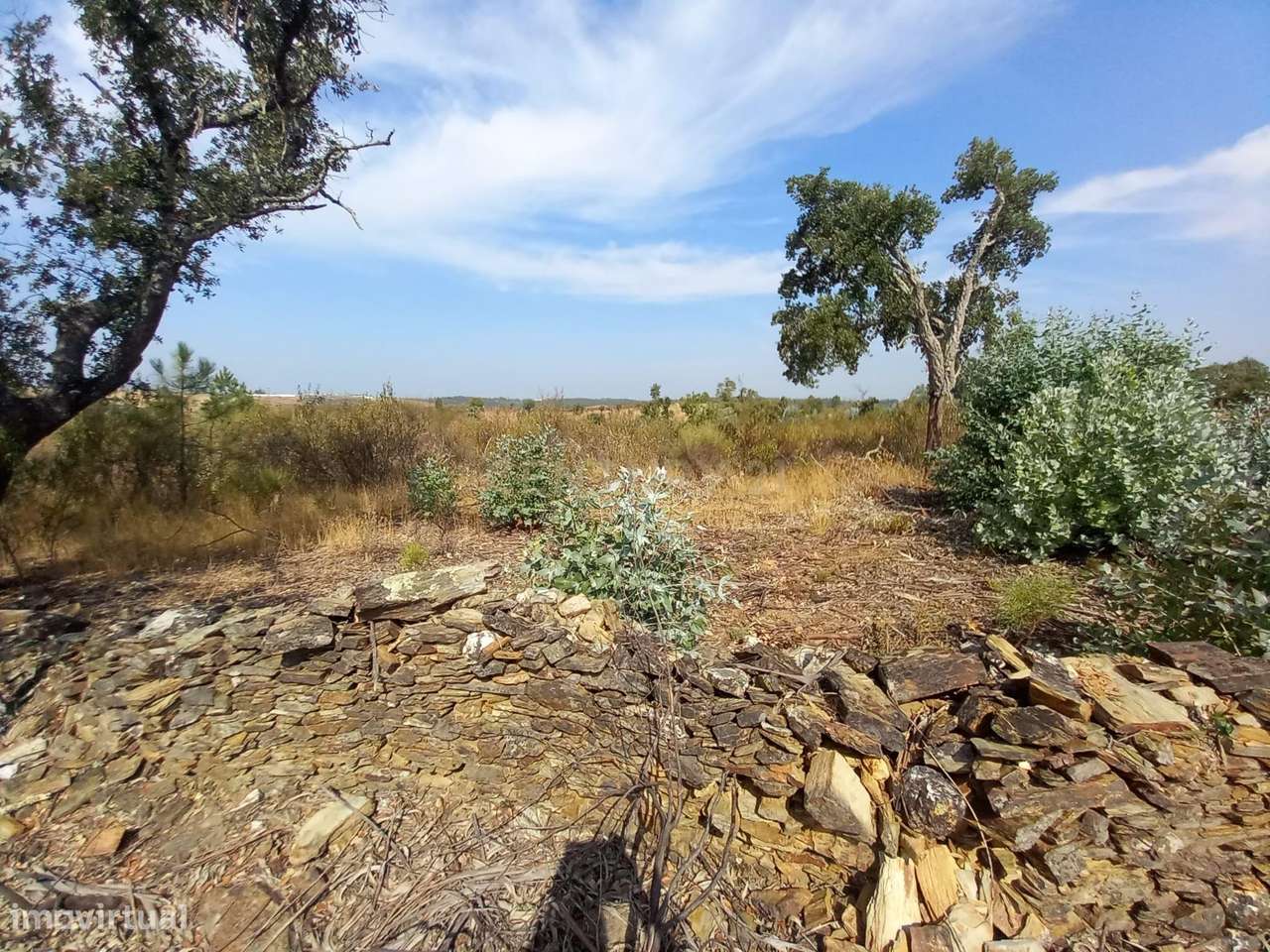 Terreno com 23500m2 com Vista Panorâmica em Local Tranquilo - Grande imagem: 5/6