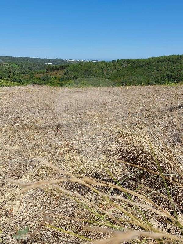 Terreno  para venda - Grande imagem: 5/7