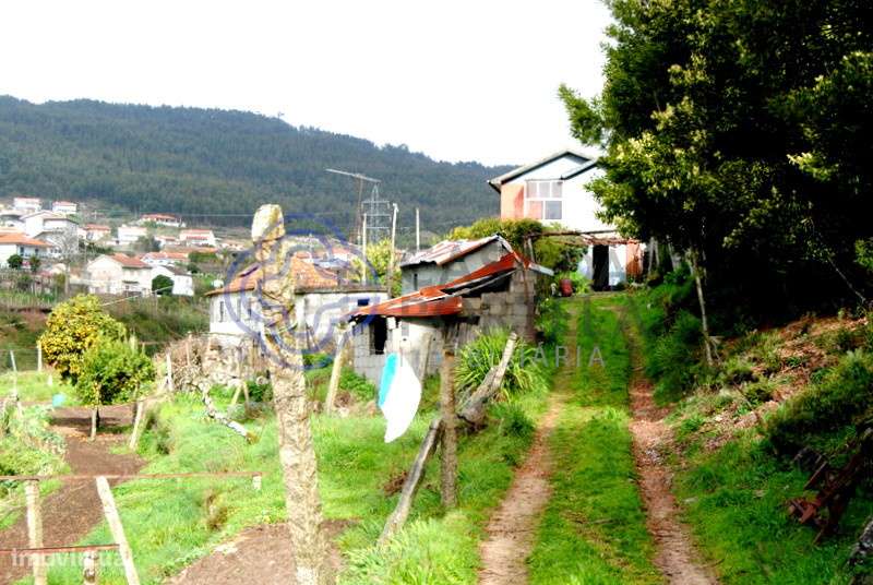 Quinta com 7930 m2 para venda em Vila Cova,  Penafiel - Grande imagem: 5/17