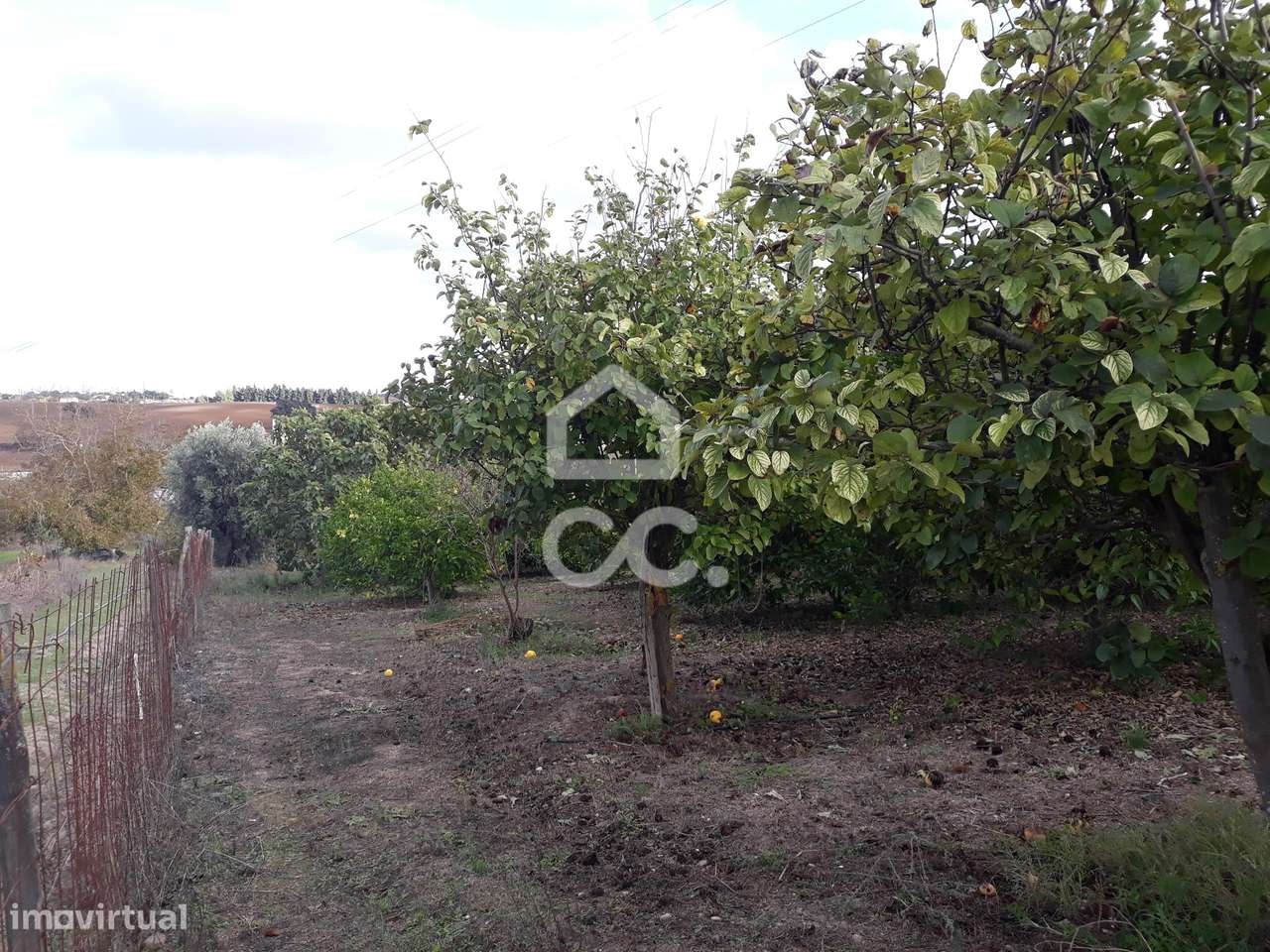 Quinta  em Beringel-27