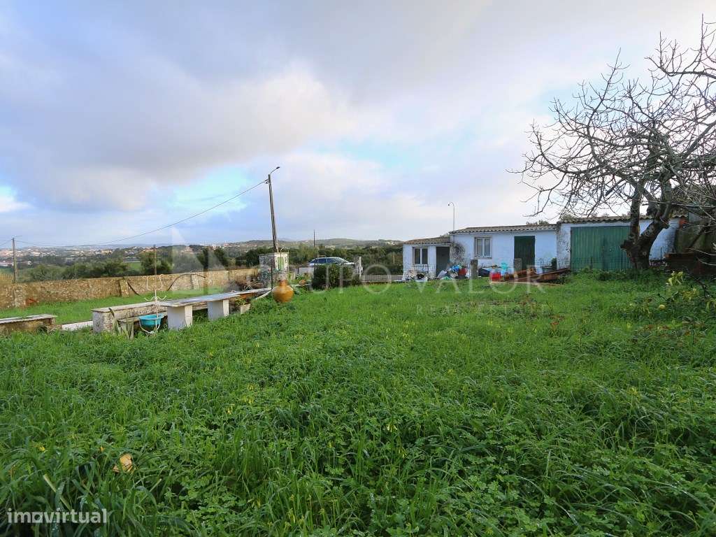 Moradia T2 com terreno de 680m2, Cortegaça - Grande imagem: 4/31