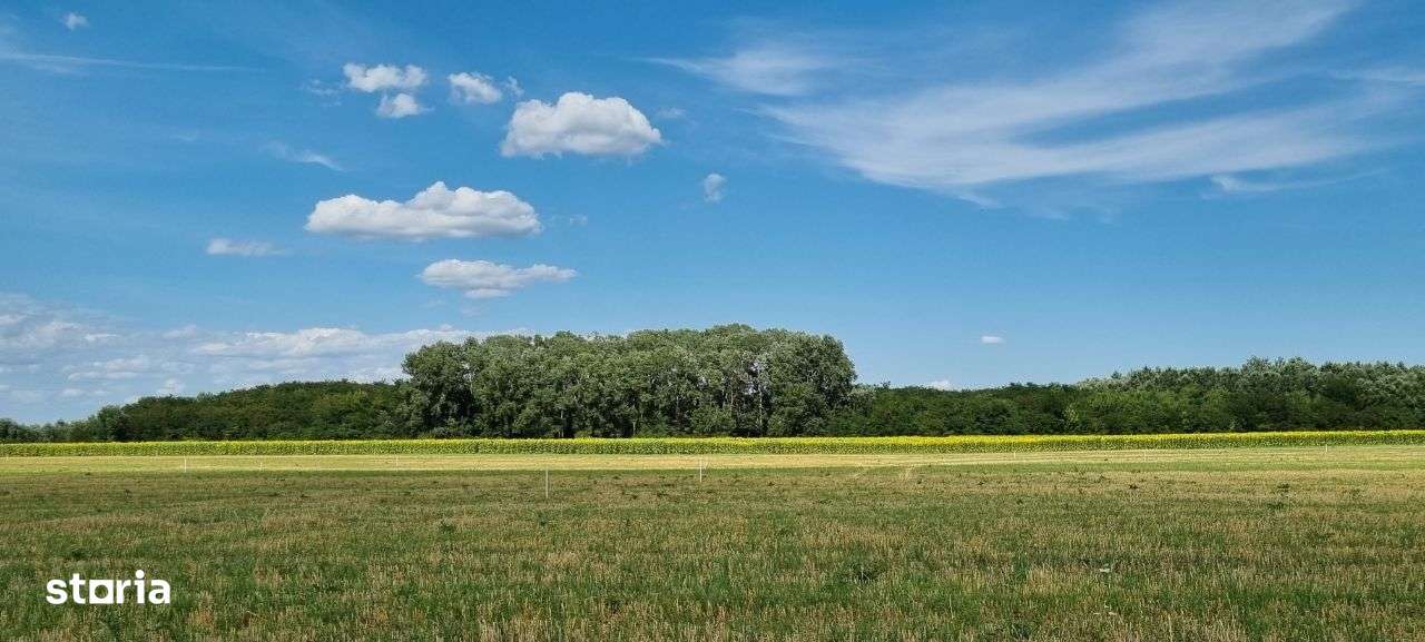 Lot teren Eden Forest Crevedia, cel mai serios proiect din zona - Imagine principală: 4/5