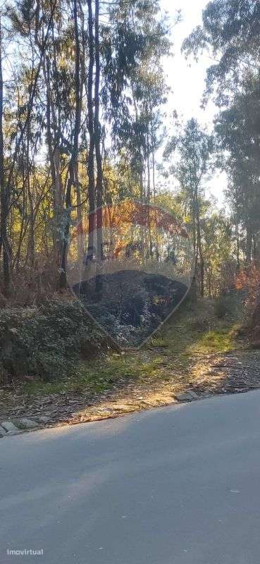 Terreno  para venda - Grande imagem: 3/3