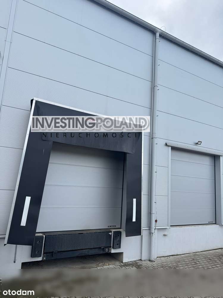 Magazyn ,hala  produkcyjna  z dokiem i dużą bramą, placem do wynajęcia - Pełny obrazek: 5/7