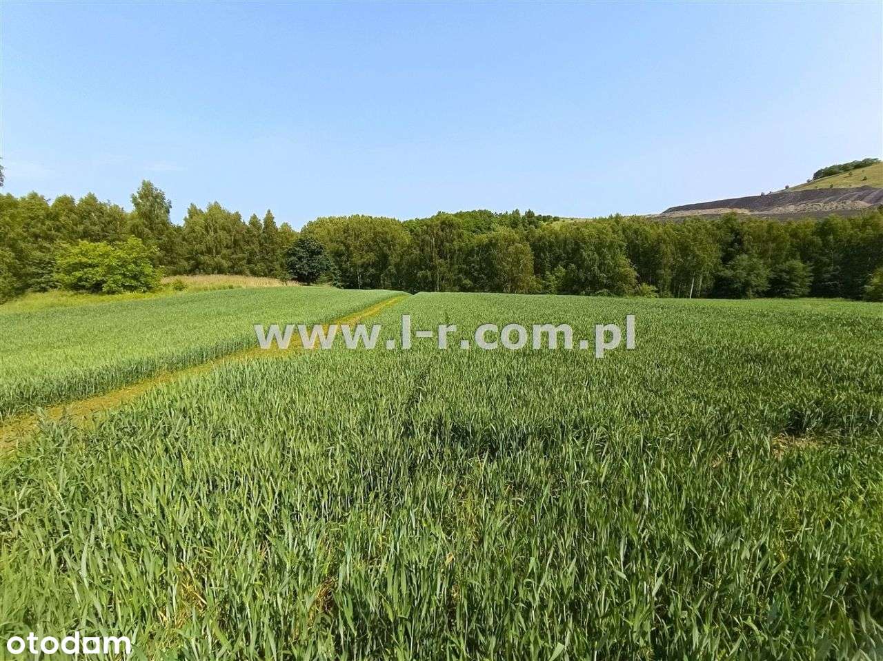 Atrakcyjna Działka W Sąsiedztwie Lasu-12