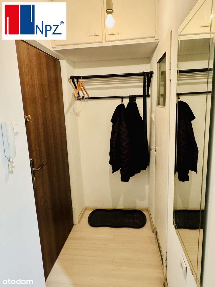 Rekreacja, Staw Hubertus, Stawiki, PLAŻA, blisko Sosnowiec, Mysłowice - Pełny obrazek: 4/6