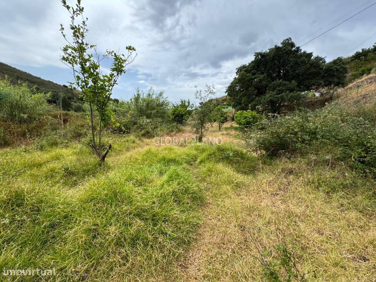 Terreno Rústico - Grande imagem: 4/12