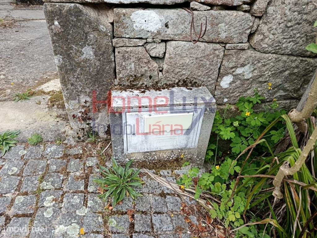 Quinta com Projeto para Turismo Rural em São Pedro do Sul-40