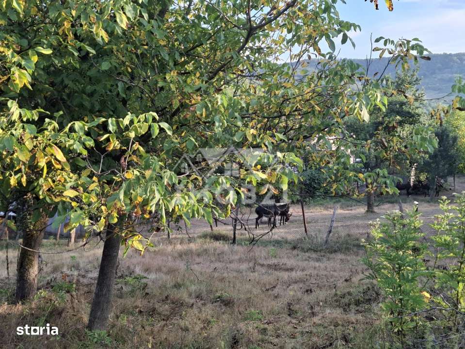 Teren spectaculos cu padure, livada si priveliste panoramica in Soimar-12
