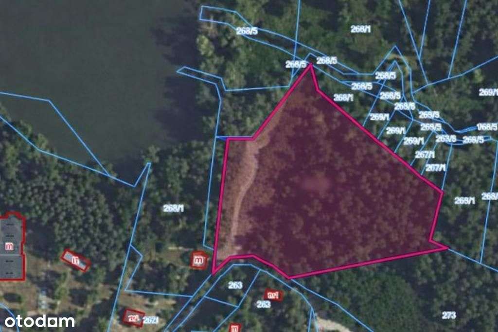 Działka inwestycyjna 1,19 ha, Radziejowice–Tartak - Pełny obrazek: 4/4