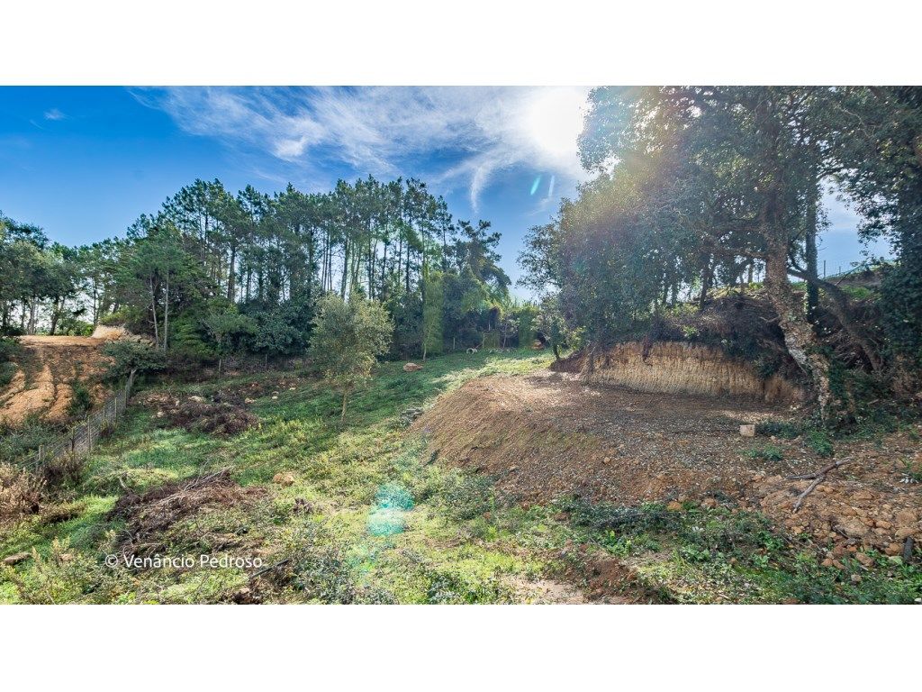 Terreno - Ericeira 5 km, A Casa das Casas - Grande imagem: 1/11