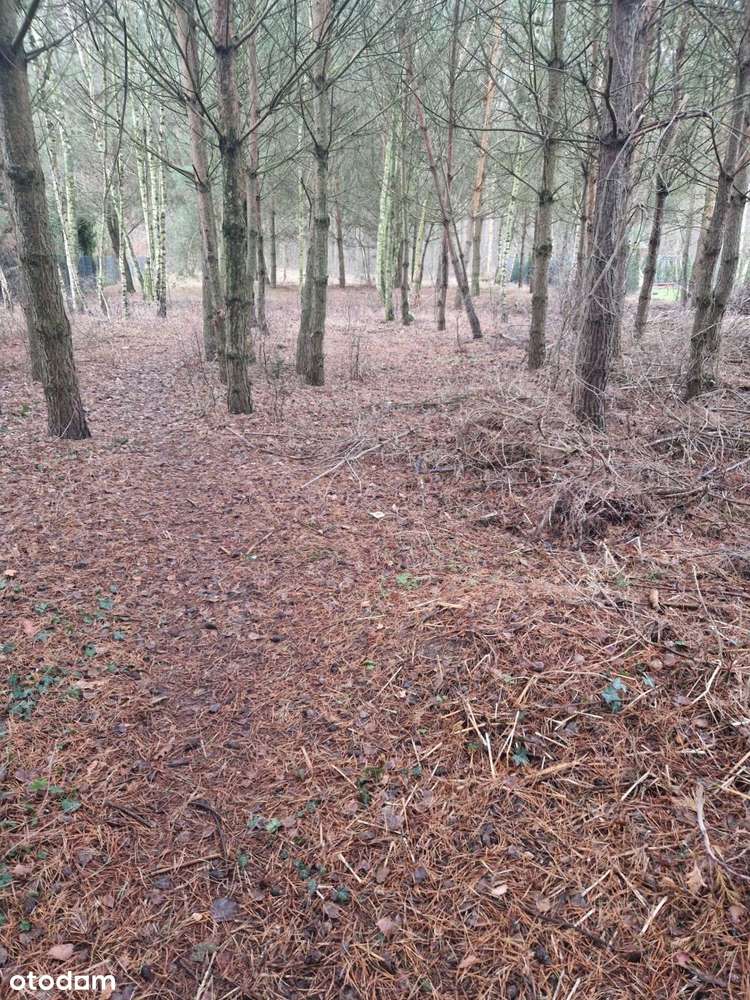 działka budowlana - Pełny obrazek: 5/13
