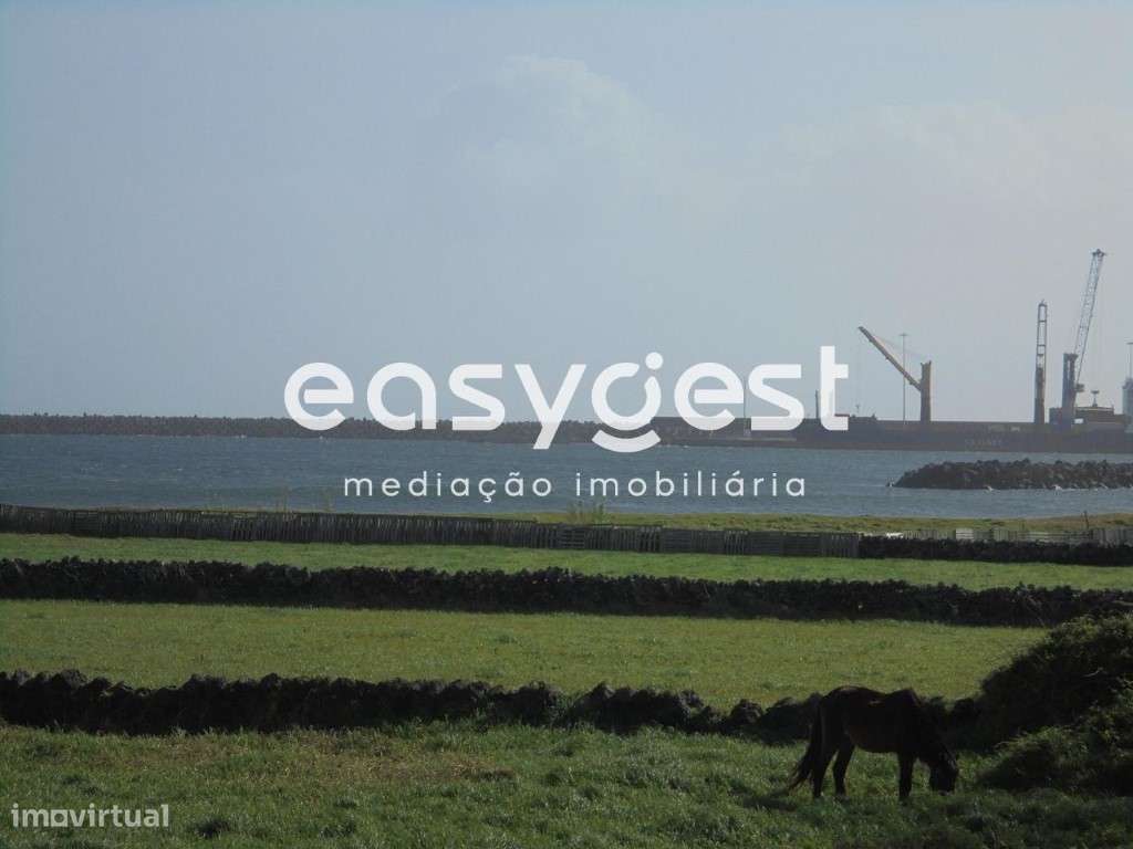 Terreno no Belo Jardim - Praia da Vitoria 5 Alqueires - Boa vista - Grande imagem: 5/7