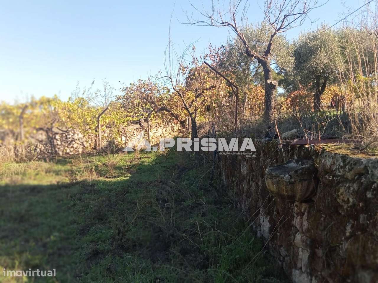 Quintinha para venda com construção rural para venda em Escalos de Bai-12